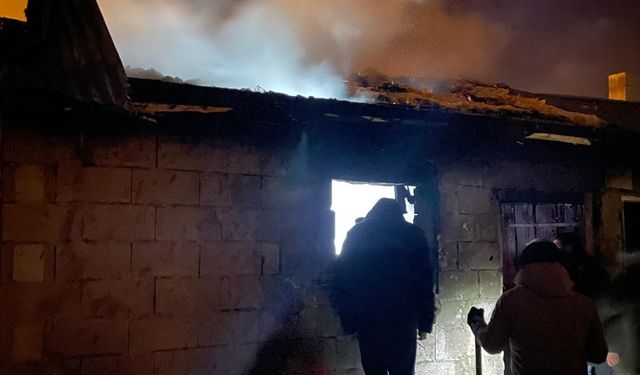 Çaldıran'da odunluk yangını