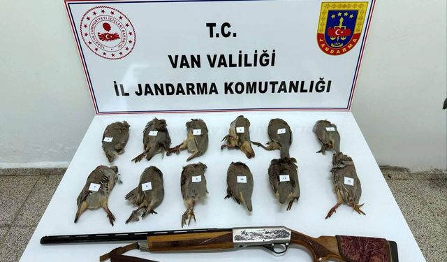 Van'da keklik avlayan kişiye 81 bin TL ceza