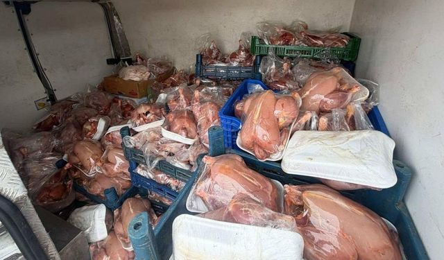 Van'da sağlıksız 200 tavuk ele geçirildi!