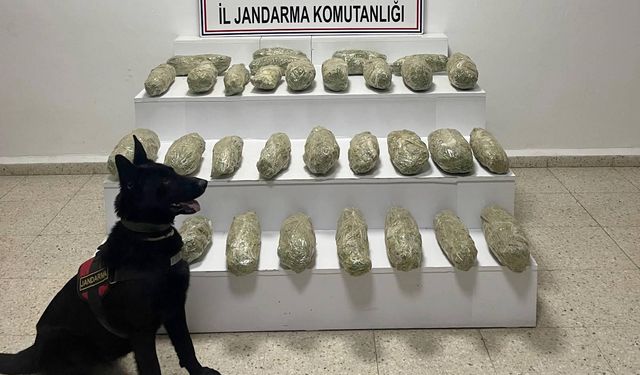Van’da uyuşturucuya geçit yok: Onlarca kilo skunk ele geçirildi!