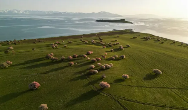 Van’da görülmesi gereken 14 muhteşem yer