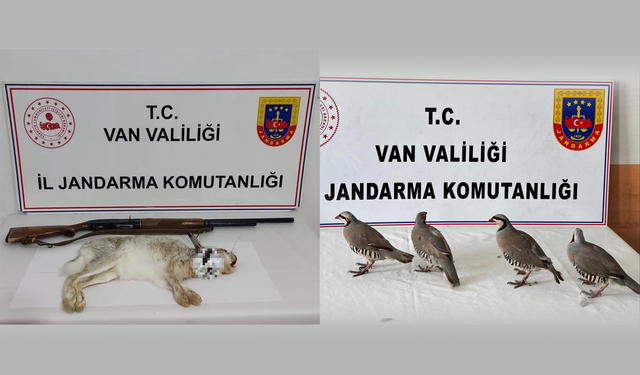Van’da yaban tavşanı ve keklik avlayan şahıslara 115 bin TL ceza!