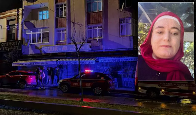 Vanlı kadın çocuklarının gözü önünde bıçaklanarak öldürüldü!