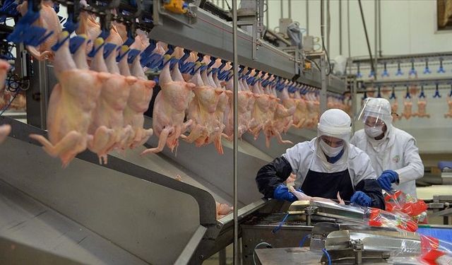 Tavuğa "Ramazan" ayarı: Bu karar fiyatları düşürür!