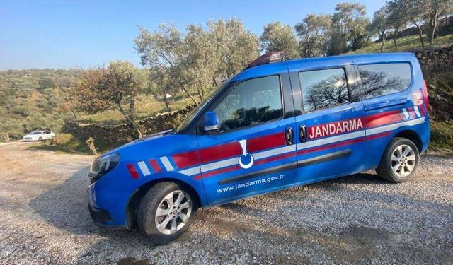 Van’da ele geçirildi: Değeri milyonlarca lira