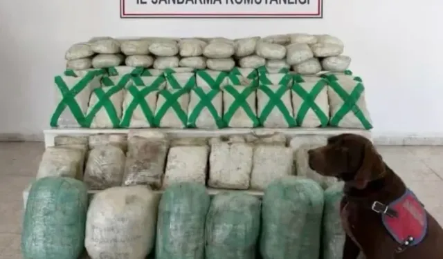 Van'da narkotik operasyon: Tam 320 kilo ele geçirildi, 15 kişi yakalandı!