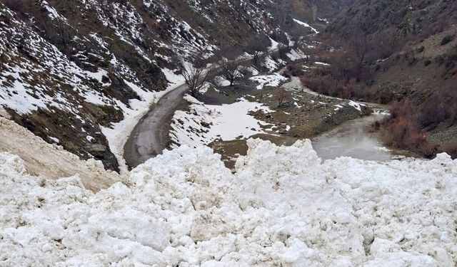 Van’da çığ düştü: 8 mezraya ulaşım kesildi