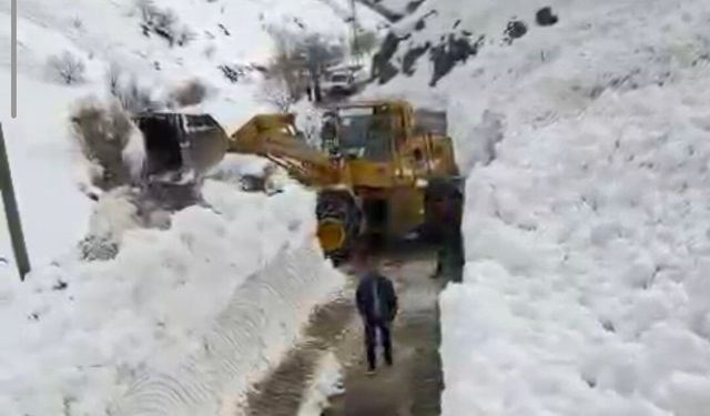 Bahçesaray yoluna düşen çığ temizlendi