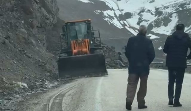 Van-Hakkari kara yolu trafiğe açıldı