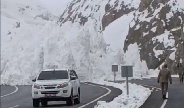 Van-Hakkari yolunda çığ felaketi!