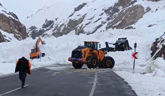 Van’dan giderken bu yolu kullananlar dikkat! Hayati uyarı yapıldı
