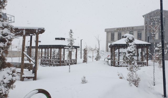 Van’da kar yağışı etkili oldu