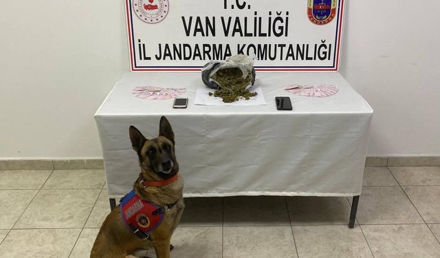 Van’da 1 kilo 64 gram yasaklı madde ele geçirildi