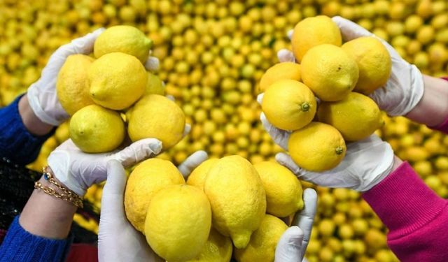 Fiyatı bir anda 100 TL’yi geçti: Cumhurbaşkanı Erdoğan duruma el attı!