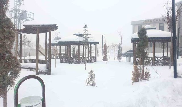 Van’da dondurucu soğuklar!