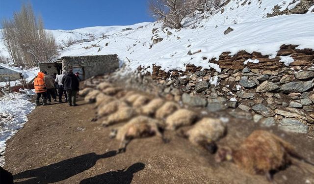 Van'da ahırda feci yangın: 67 küçükbaş hayvan telef oldu