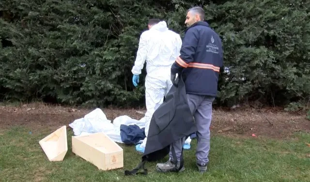 Yol kenarında yeni doğmuş bebeğin cansız bedeni bulundu!