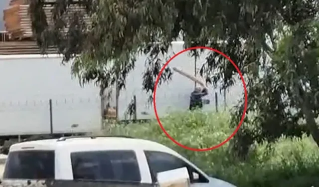 Adana'da sokak köpeğini sopayla döven kişi gözaltına alındı!