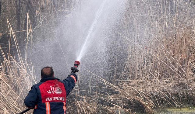 Van'da sazlık alanda yangın çıktı!