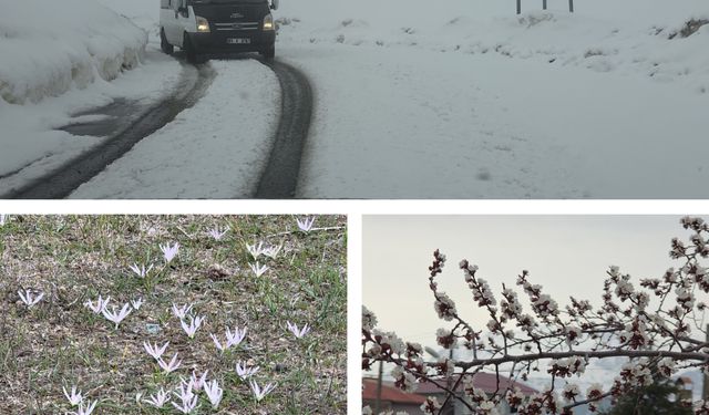 Van’da mevsimler karıştı: Aynı ay, iki farklı mevsim tek karede!