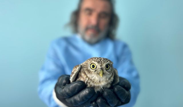 Van YYÜ yaban hayatı merkezi: Bölgenin "şifa kapısı" doğayı iyileştiriyor!