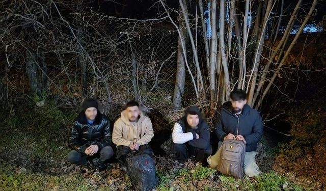 Van’da göçmen şebekesi çökertildi: 9 kişi yakalandı, 4 kişi tutuklandı!