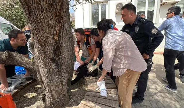 Okul katliamından yaralı kurtulan öğrenci dehşet anlarını anlattı!