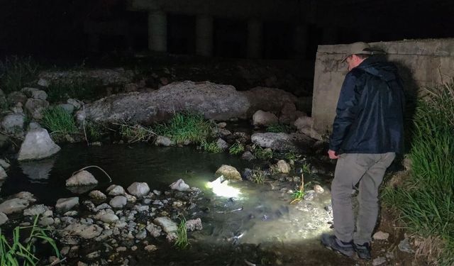 Dünyada sadece Van’da yaşayan canlıya yasak geliyor!