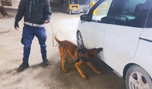 Van’da durdurulan araçta yüklü miktarda esrar çıktı!