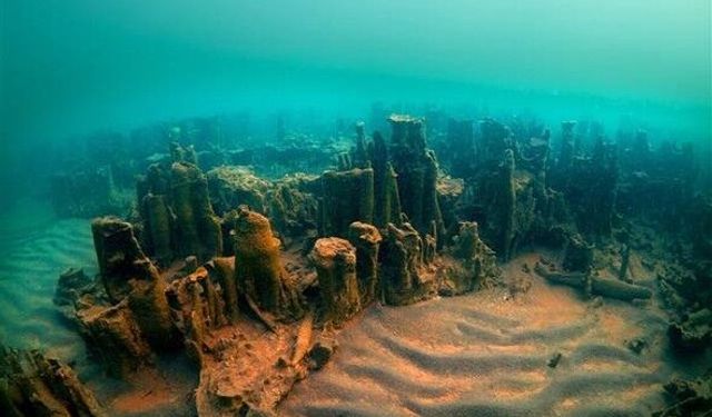 Van Gölü'nün derinliklerinde 40 metreye ulaşan mikrobiyalitler nedir?