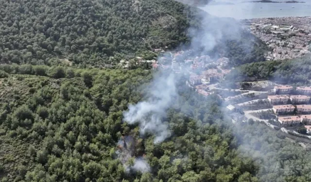 Muğla'da orman yangını
