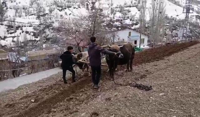 Van’da modern teknolojiye direnen gelenek: Bin yıllık miras yeniden hayat buldu!