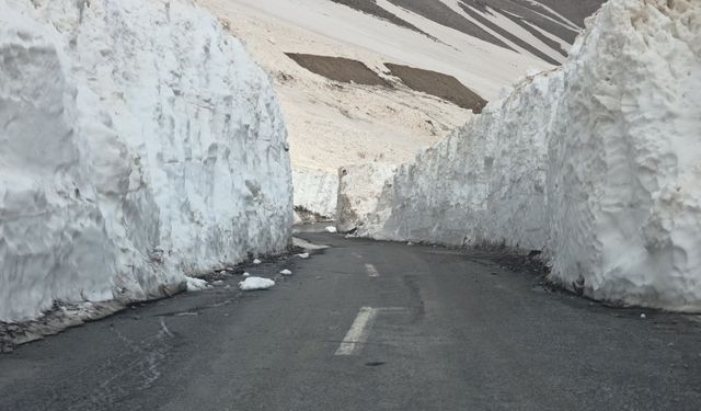 Van’da kış bitti, kar bitmedi!