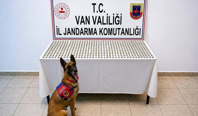 Van’da bu kadarına da pes dedirtecek uyuşturucu operasyonu!