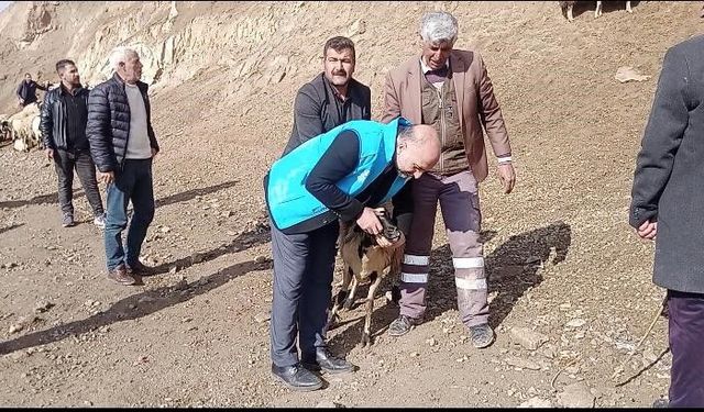 Van’da vatandaşlara doğru kurban nasıl kesilir etiğimi verildi!