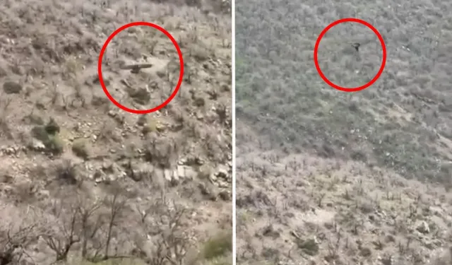 Şırnak'ta Afrika’yı aratamayacak görüntü!