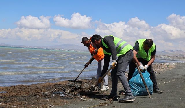 Van Gölü sahilinde temizlik seferberliği!
