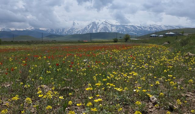 Fotoğraf tutkunları Van’a akın ediyor: Bu manzara başka yerde yok!