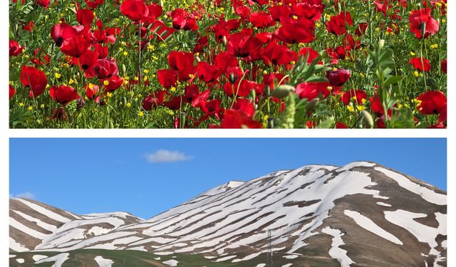 Van’da aynı karede iki farklı dünya