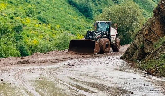 Hakkari’de mezra yolu ulaşıma kapandı!