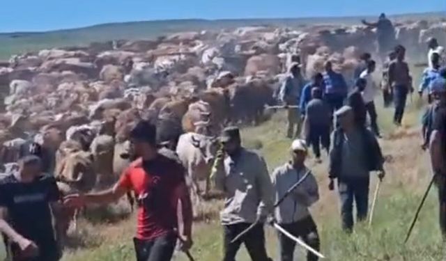 Arazi tartışması silahlı kavgaya dönüştü: Yaralılar var!