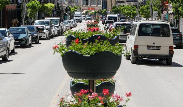 Van’da cadde ve orta refüjler sardunyalarla süslendi!