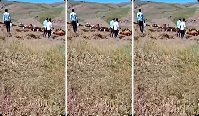 Van’da 4 kişinin yaralandığı iki köyün kavgasında yeni gelişme