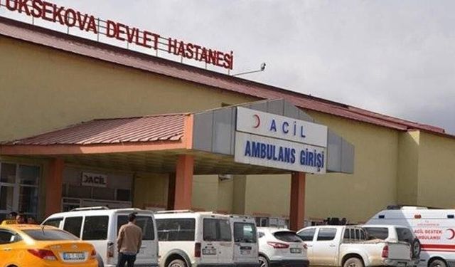 Yüksekovalı genç kız evinde ölü bulundu!