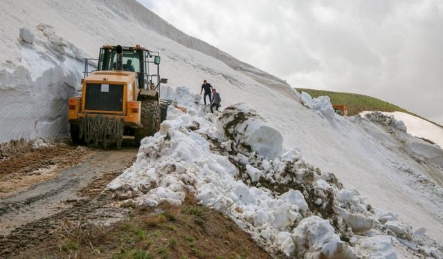 Van’da temmuz ayında şaşırtan kar manzarası!