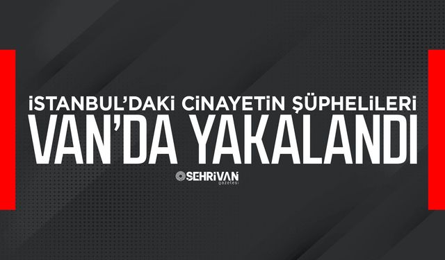 İstanbul’daki cinayetin şüphelileri Van’da yakalandı