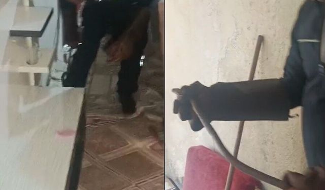 Evde korku dolu anlar! Dolabın arkasından yılan çıktı