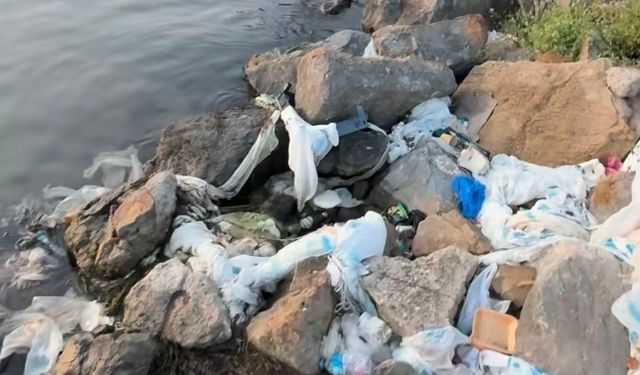 Van Gölü’nde tehlike büyüyor!