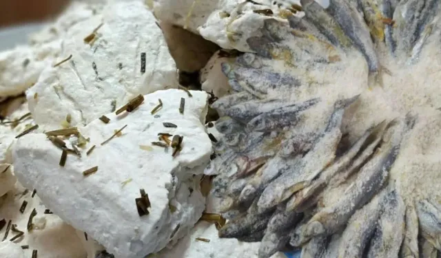 Van’da otlu peynir ve tuzlu balık tüketenler dikkat! Başhekim Sarıkaya Uyardı…