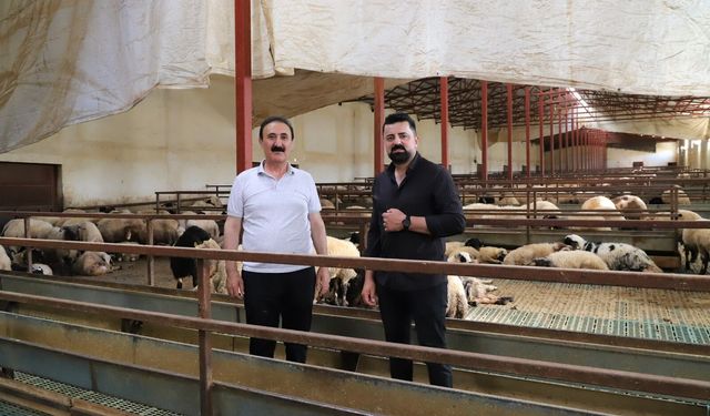 Van Ticaret Borsası hayvancılığın sorunlarını sahada dinledi